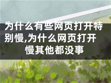 为什么有些网页打开特别慢,为什么网页打开慢其他都没事