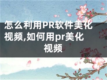 怎么利用PR软件美化视频,如何用pr美化视频