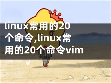 linux常用的20个命令,linux常用的20个命令vim
