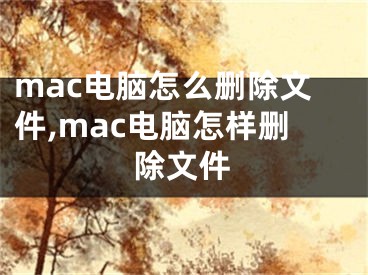 mac电脑怎么删除文件,mac电脑怎样删除文件