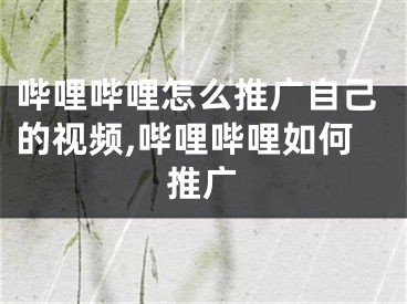 哔哩哔哩怎么推广自己的视频,哔哩哔哩如何推广