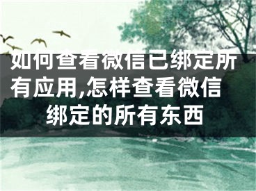 如何查看微信已绑定所有应用,怎样查看微信绑定的所有东西