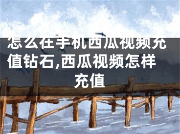 怎么在手机西瓜视频充值钻石,西瓜视频怎样充值