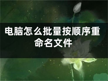 电脑怎么批量按顺序重命名文件