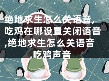 绝地求生怎么关语音,吃鸡在哪设置关闭语音,绝地求生怎么关语音,吃鸡声音