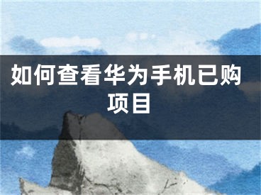 如何查看华为手机已购项目