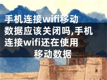 手机连接wifi移动数据应该关闭吗,手机连接wifi还在使用移动数据