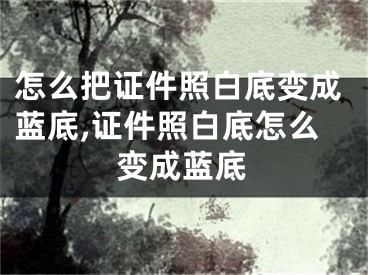 怎么把证件照白底变成蓝底,证件照白底怎么变成蓝底