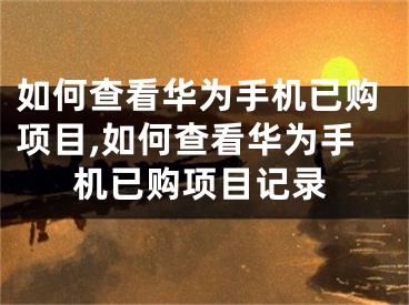 如何查看华为手机已购项目,如何查看华为手机已购项目记录