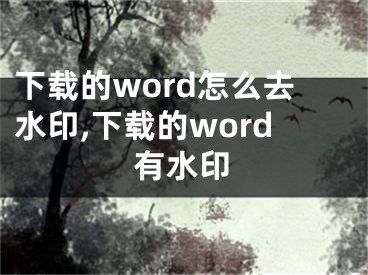 下载的word怎么去水印,下载的word有水印