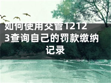 如何使用交管12123查询自己的罚款缴纳记录