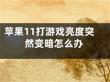 苹果11打游戏亮度突然变暗怎么办