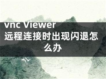vnc Viewer远程连接时出现闪退怎么办