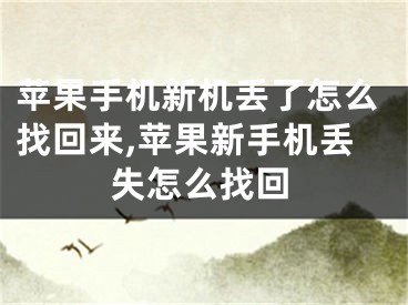苹果手机新机丢了怎么找回来,苹果新手机丢失怎么找回