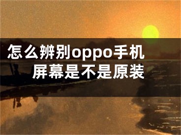 怎么辨别oppo手机屏幕是不是原装