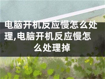 电脑开机反应慢怎么处理,电脑开机反应慢怎么处理掉