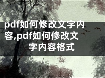 pdf如何修改文字内容,pdf如何修改文字内容格式