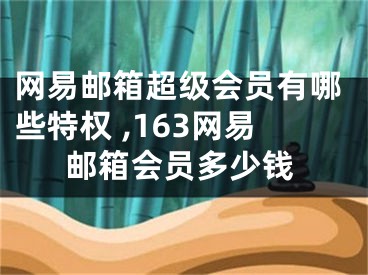 网易邮箱超级会员有哪些特权 ,163网易邮箱会员多少钱