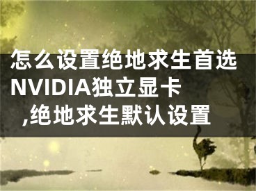 怎么设置绝地求生首选NVIDIA独立显卡,绝地求生默认设置