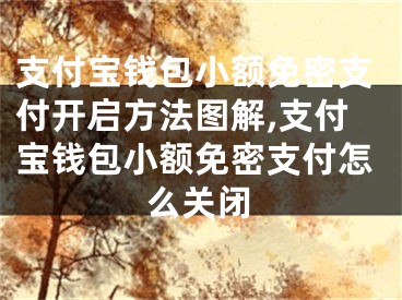 支付宝钱包小额免密支付开启方法图解,支付宝钱包小额免密支付怎么关闭