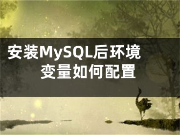 安装MySQL后环境变量如何配置