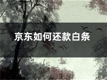 京东如何还款白条