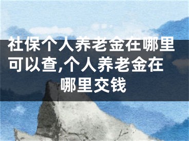 社保个人养老金在哪里可以查,个人养老金在哪里交钱