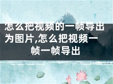 怎么把视频的一帧导出为图片,怎么把视频一帧一帧导出