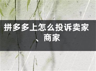 拼多多上怎么投诉卖家、商家