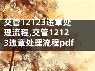交管12123违章处理流程,交管12123违章处理流程pdf