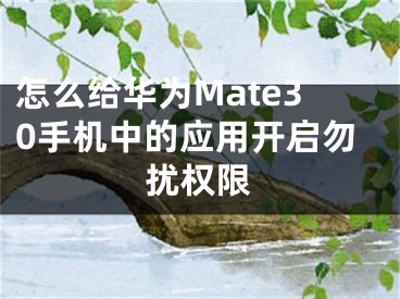 怎么给华为Mate30手机中的应用开启勿扰权限