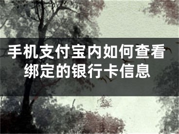 手机支付宝内如何查看绑定的银行卡信息
