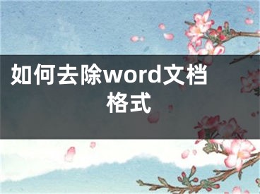 如何去除word文档格式