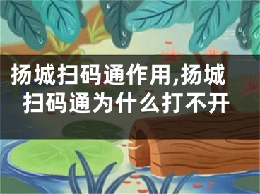 扬城扫码通作用,扬城扫码通为什么打不开