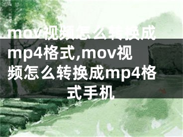 mov视频怎么转换成mp4格式,mov视频怎么转换成mp4格式手机