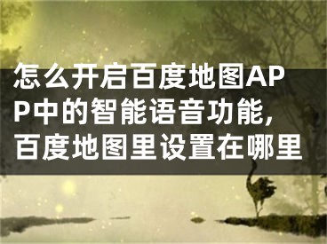 怎么开启百度地图APP中的智能语音功能,百度地图里设置在哪里