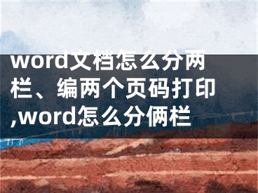 word文档怎么分两栏、编两个页码打印 ,word怎么分俩栏