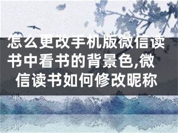 怎么更改手机版微信读书中看书的背景色,微信读书如何修改昵称