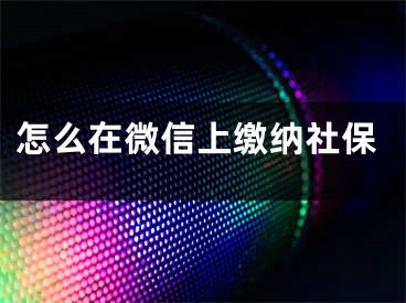 怎么在微信上缴纳社保