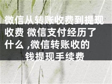 微信从转账收费到提现收费 微信支付经历了什么 ,微信转账收的钱提现手续费