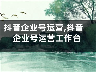 抖音企业号运营,抖音企业号运营工作台