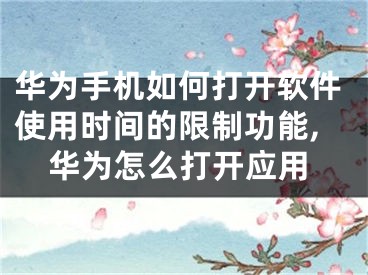 华为手机如何打开软件使用时间的限制功能,华为怎么打开应用