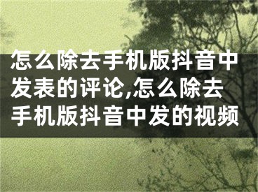 怎么除去手机版抖音中发表的评论,怎么除去手机版抖音中发的视频