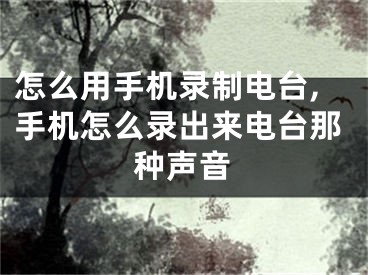 怎么用手机录制电台,手机怎么录出来电台那种声音
