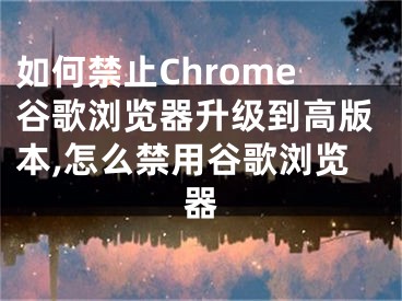 如何禁止Chrome谷歌浏览器升级到高版本,怎么禁用谷歌浏览器