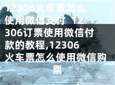 12306火车票怎么使用微信支付  12306订票使用微信付款的教程,12306火车票怎么使用微信购票