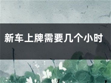 新车上牌需要几个小时