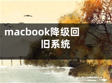 macbook降级回旧系统