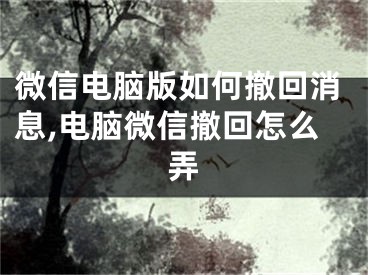 微信电脑版如何撤回消息,电脑微信撤回怎么弄
