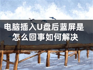 电脑插入U盘后蓝屏是怎么回事如何解决